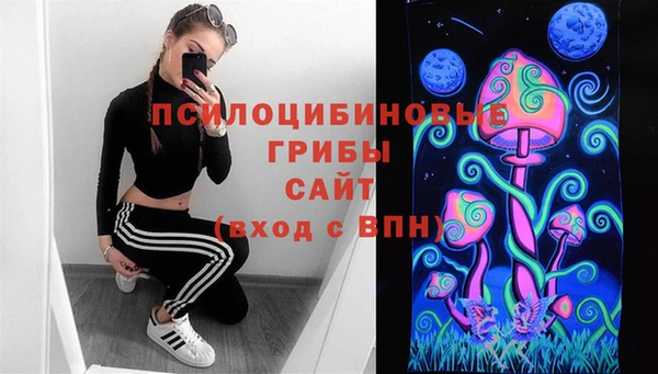 СК Аркадак