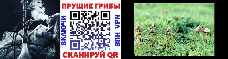 Псилоцибиновые грибы мухоморы  Собинка 